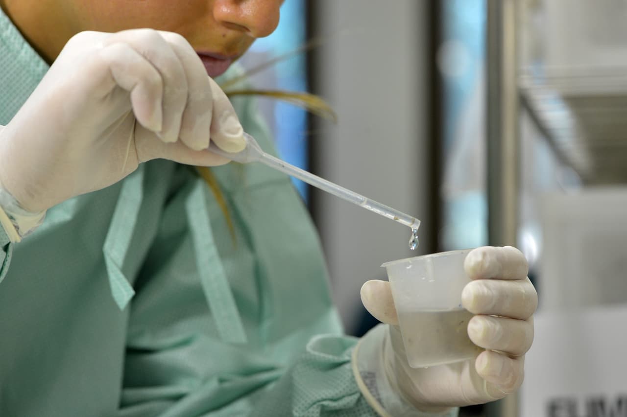 Confirman 2 nuevos casos de zika en Miami Dade