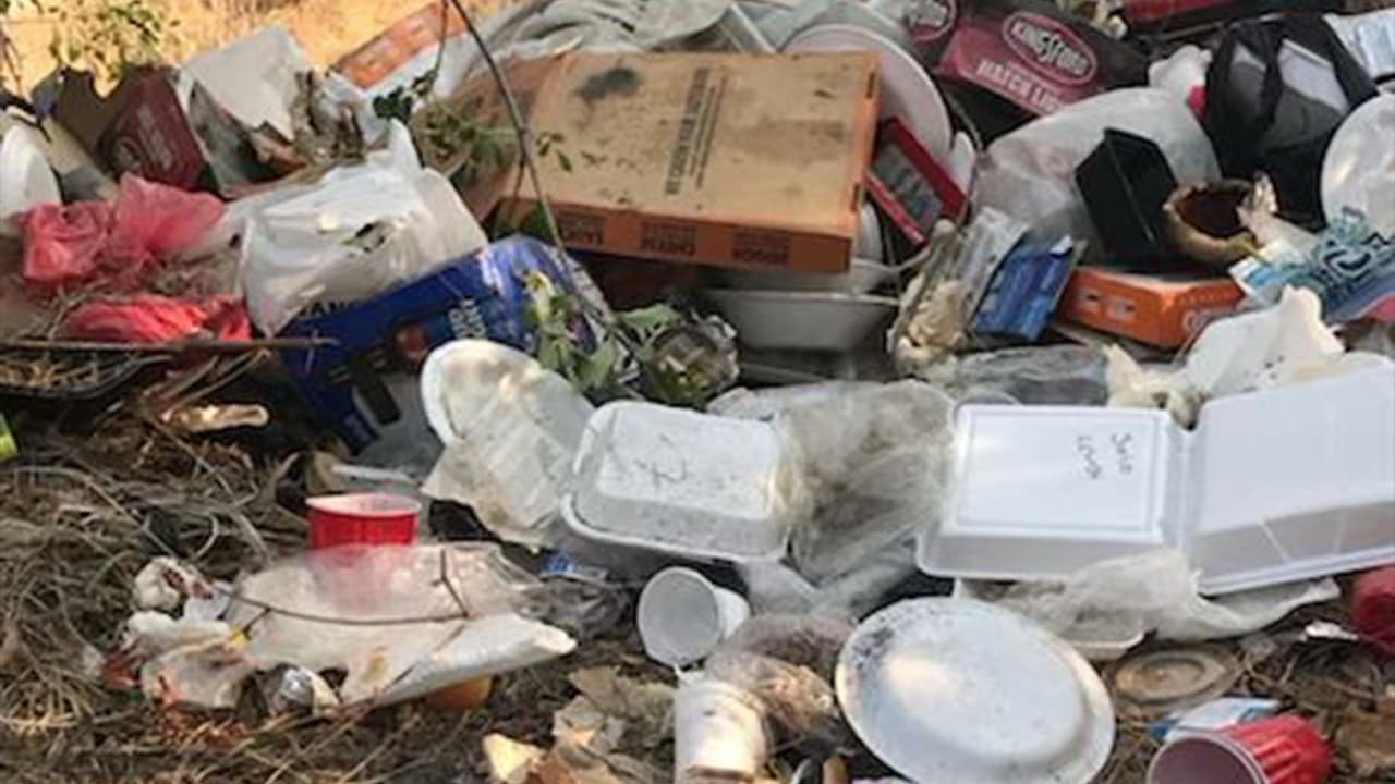 Microbasureros crecen alrededor del rio San Joaquin, lo que propicia la llegada de ratas y cucarachas.