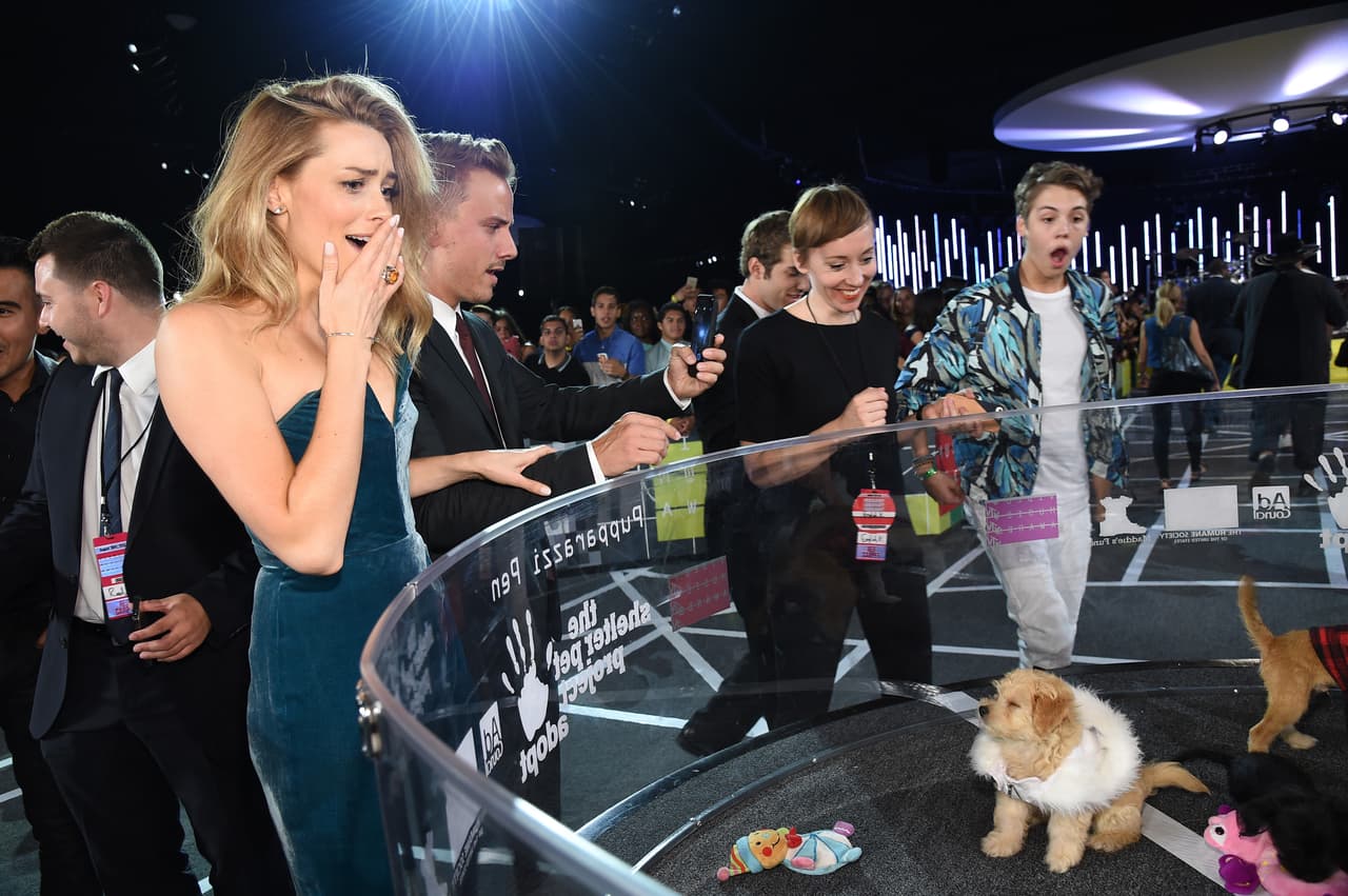 Cuando la actriz Arielle Vandenberg llegó a donde se encontraban los perros, quedó en shock por culpa de tanta ternura.