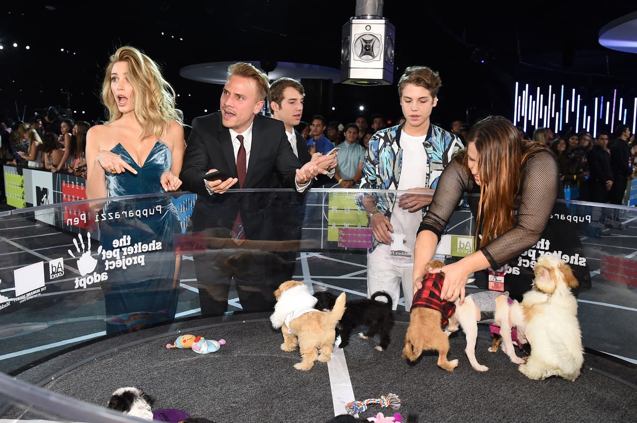 ¿Quién no quiere un dulce cachorrito?