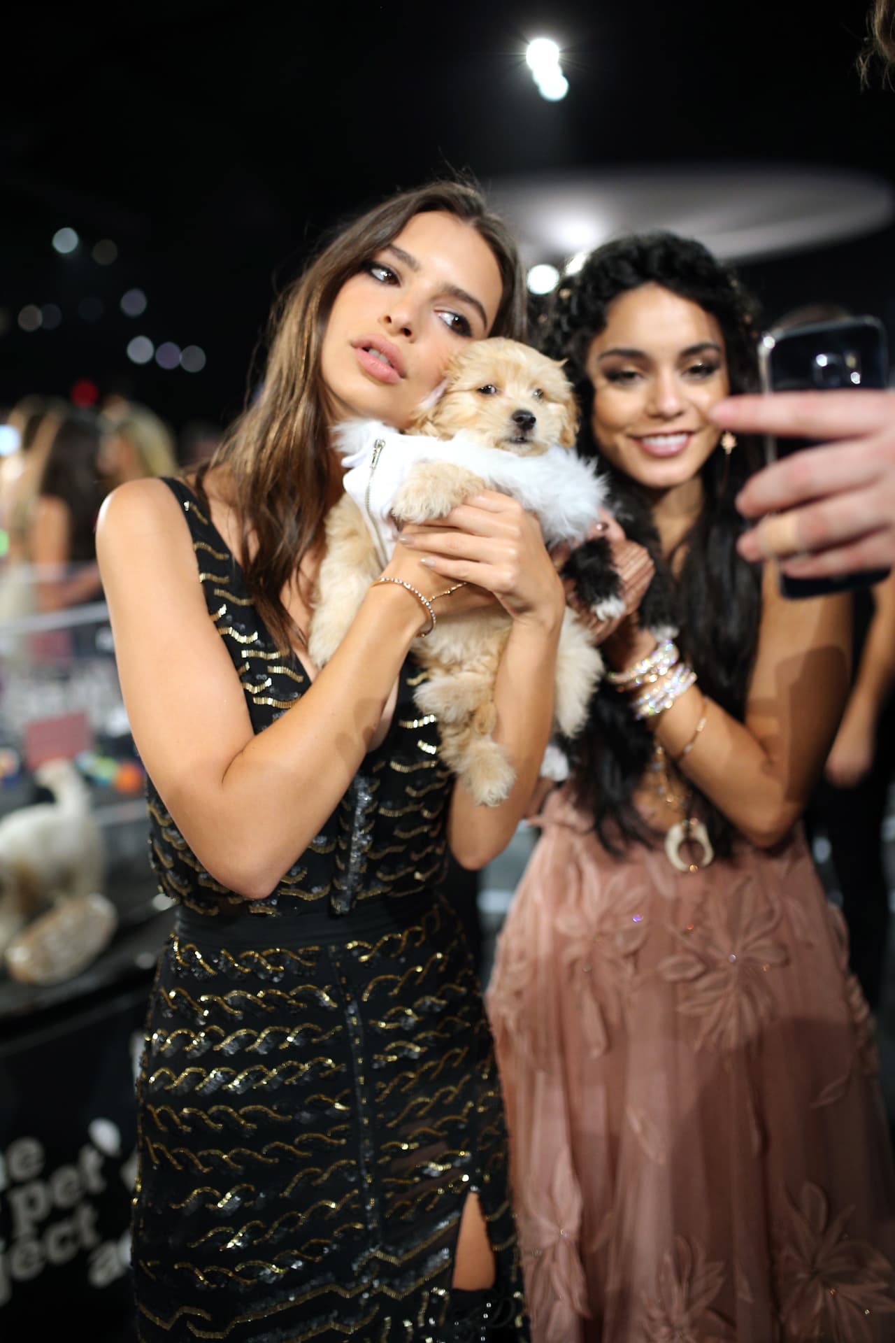 Mientras tanto, Emily seguía decidiéndose por alguno de los cachorritos. ¡Porque todos eran dulces y tiernos!