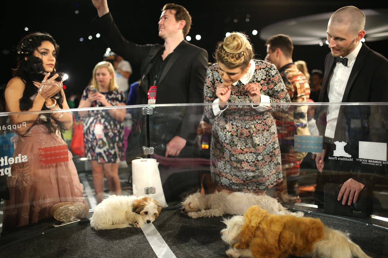 Molly Tarlov, actriz de series de MTV, también se dejó llevar por al fiebre perruna en los premios.