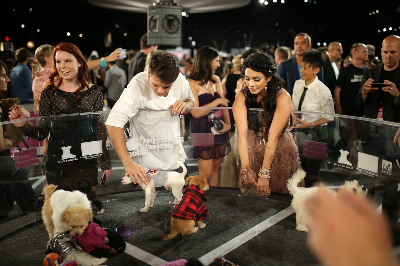 Vanessa Hudgens se encargó de promover a los cachorritos entre los famosos que asistieron a los premios.