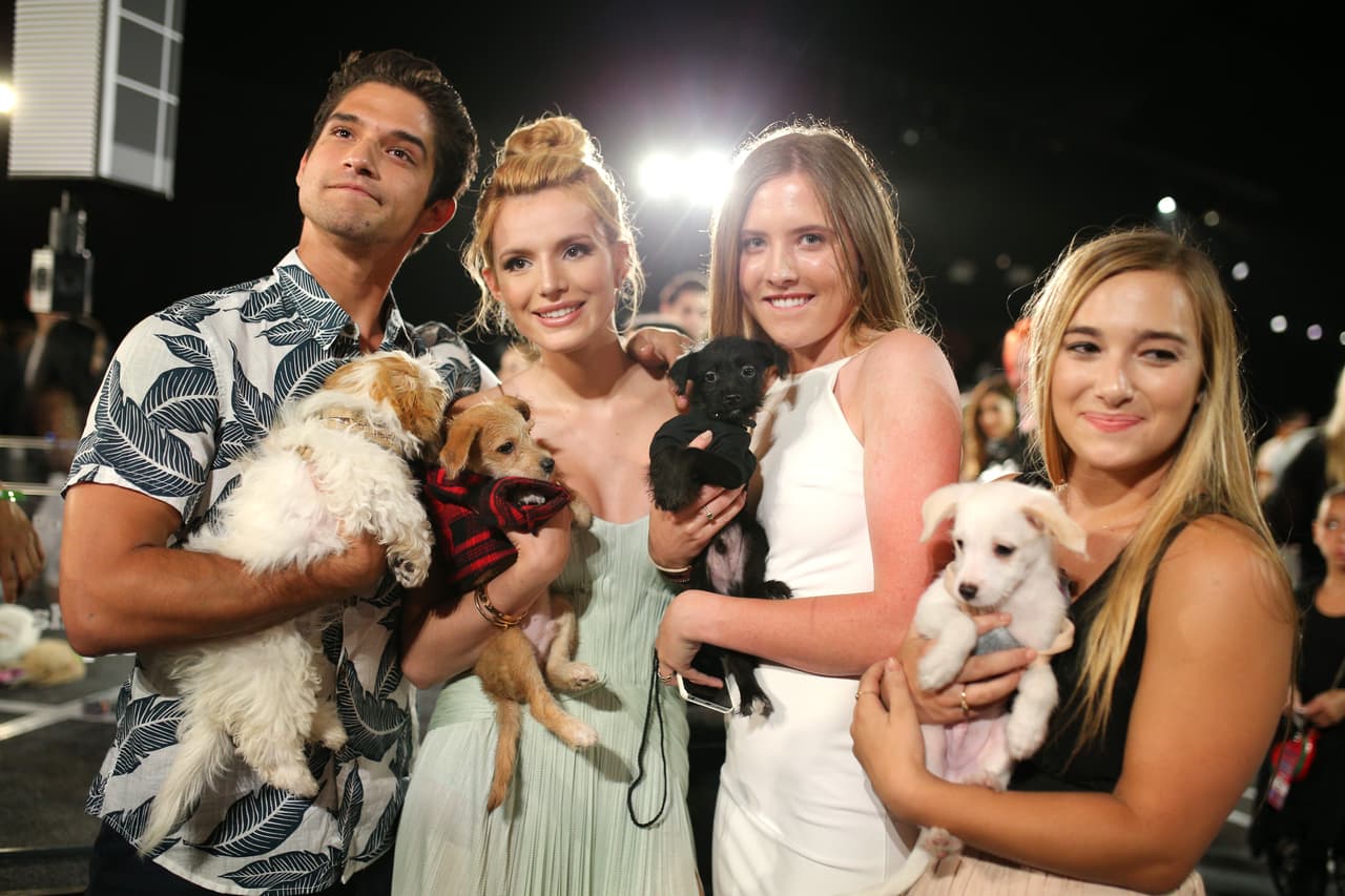 Por eso posaron con ellos, ¡pues querían que todos encontraran casa esa misma noche!