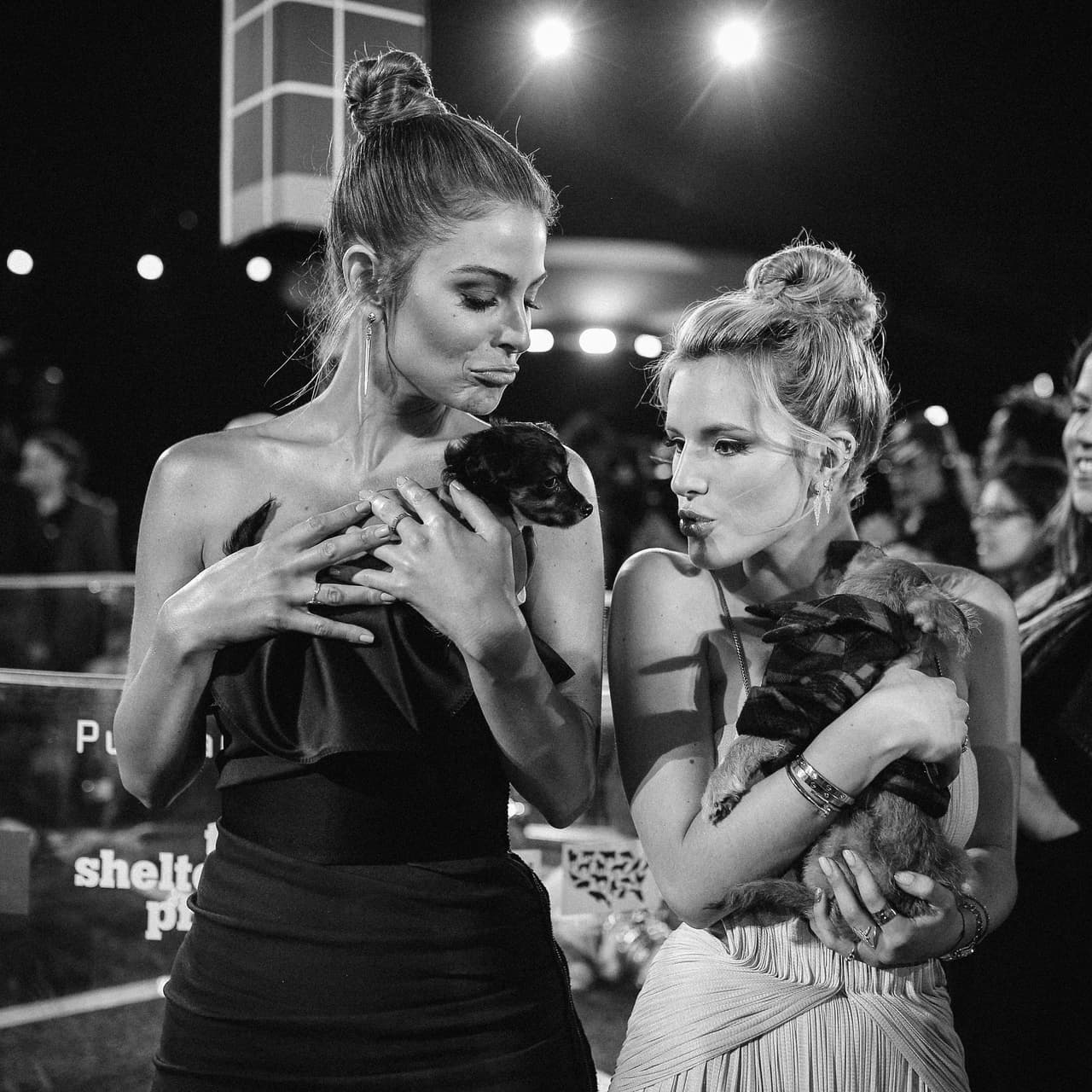 La otra famosa amiga de Maria, Bella Thorne, se les unió a la fiebre de cachorros.