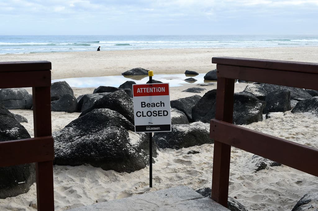 Hombre muere por ataque de tiburón en California en Nochebuena