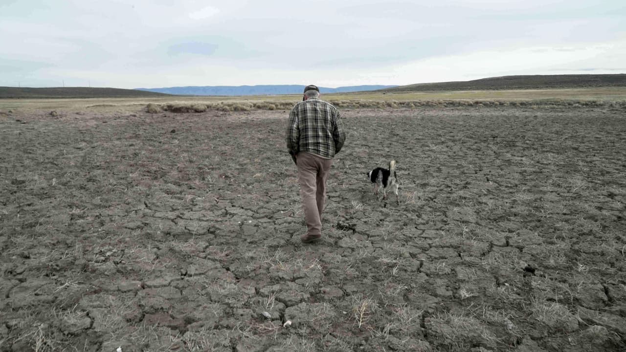 Declaran “desastre por sequía” en Maryland: ¿hay escasez de agua?
