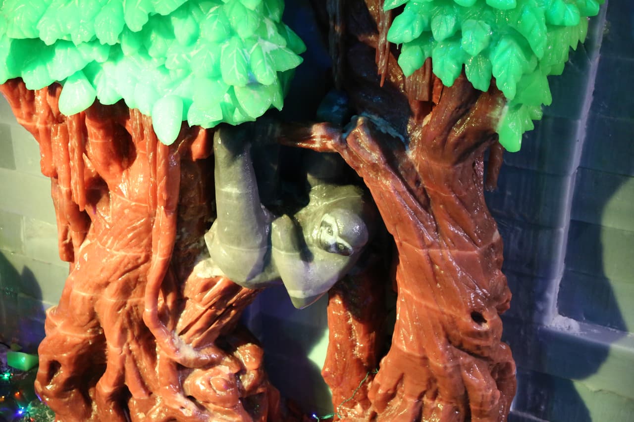 Un detallado oso perezoso parece saludar a los visitantes.