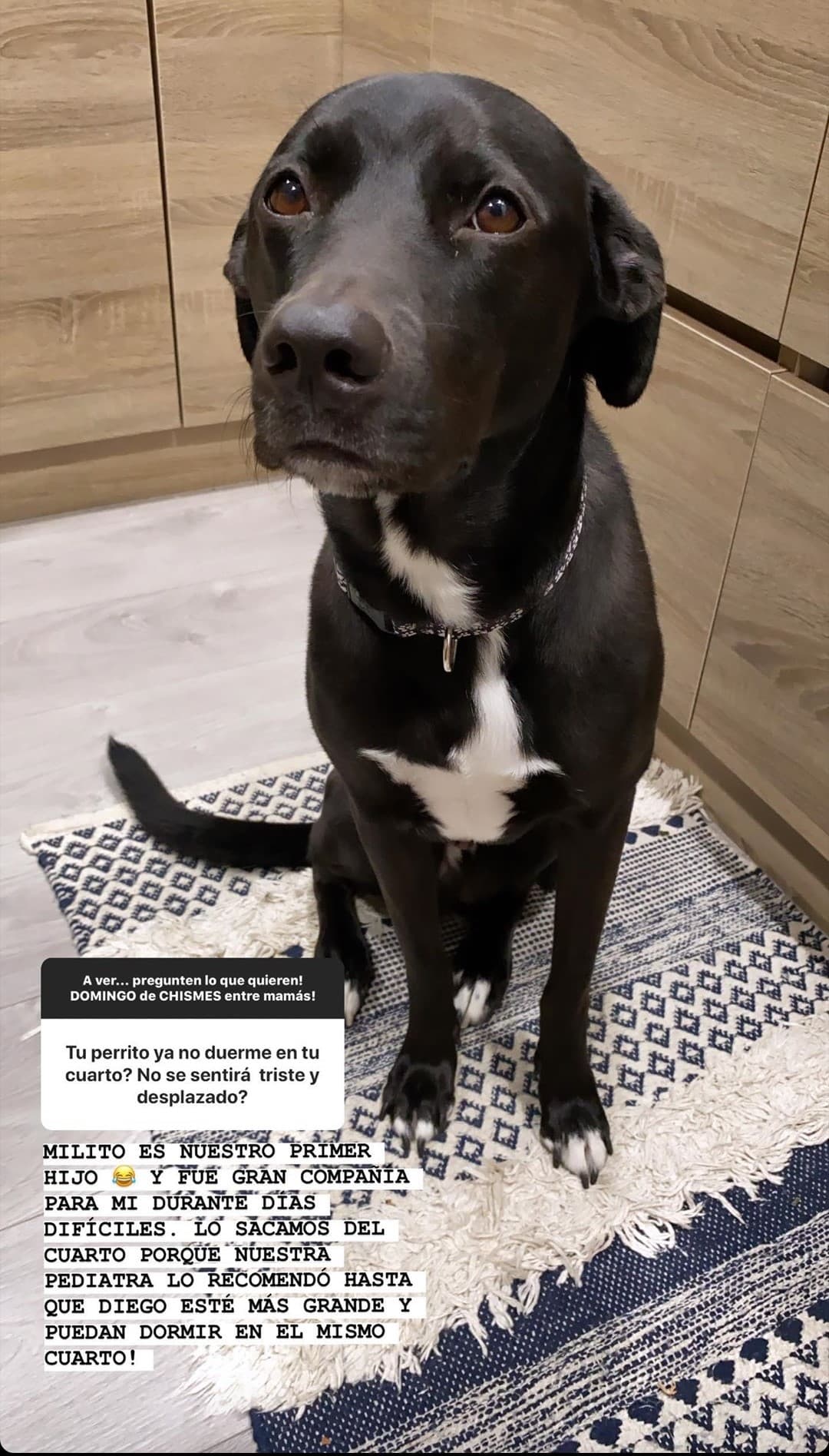 La familia Cracco Chediak es amante de los caninos, sin embargo, la convivencia entre Diego y su "primer hijo", Milo, tiene que posponerse por un tiempo.