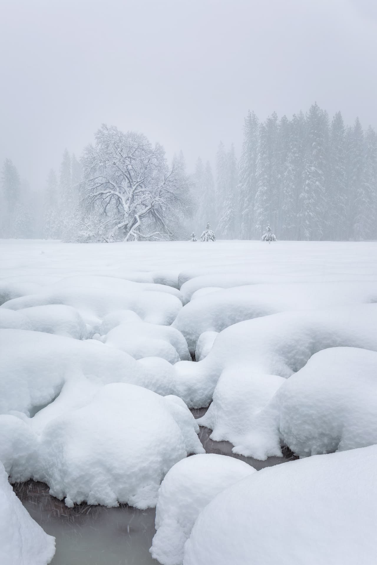 Parque Nacional Yosemite, California, EEUU.