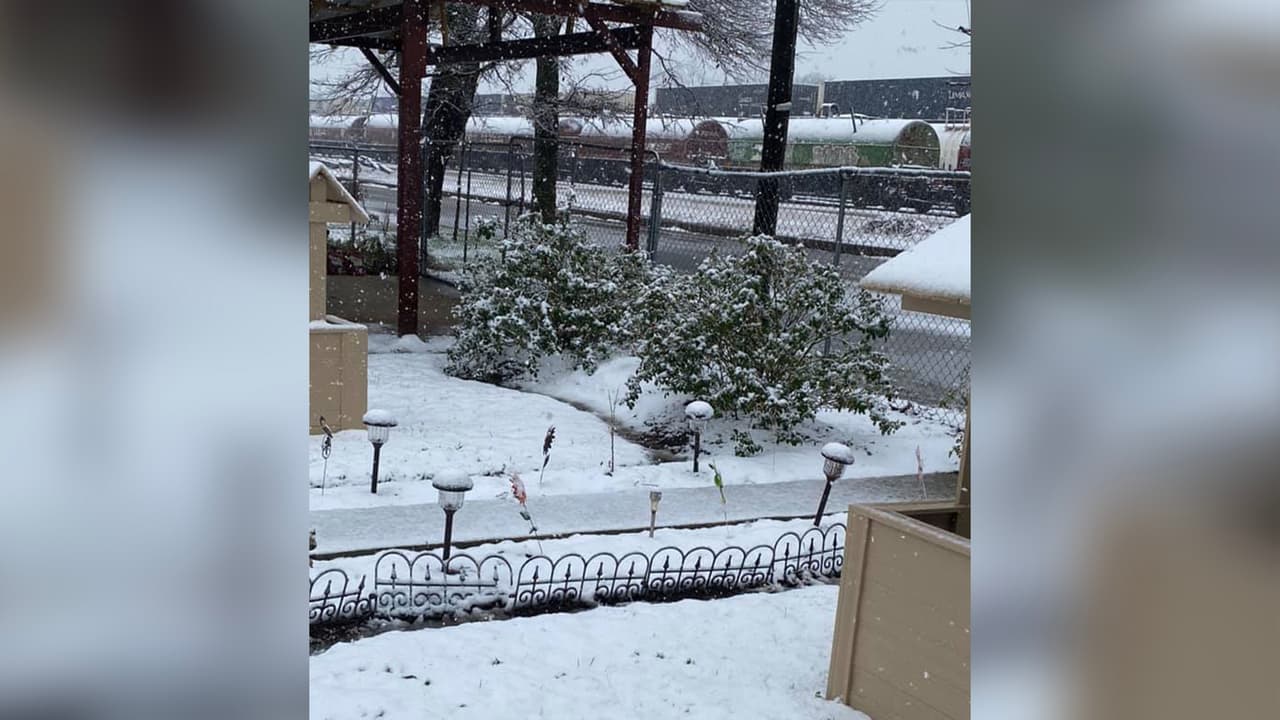 El paso de una tormenta invernal por Texas está dejando una fuerte nevada en muchas ciudades del sureste. Así está la ciudad de Hearne en el condado Robertson, al noroeste de Houston.