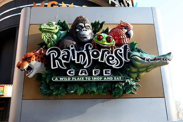 Rainforest Café|El restaurante con temática de jungla abrirá en el Paseo del Río. Solo se permitirá la entreda de personas que hayan reservado con anterioridad.