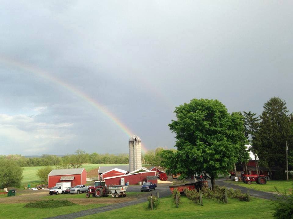 <b>Klein Farms Dairy and Creamery </b>
<br>Dirección: 410 Klein Rd, Easton, PA. 18040
<br>Teléfono: 610-253-8942
<br>Sitio web: 
<a href="https://kleinfarms.com/">https://kleinfarms.com/</a> 
<br>
<b><a href="https://goo.gl/maps/MYAC8knveJsnRPNQ8?coh=178573&entry=tt">Cómo llegar</a></b>
<br>
<br>Visita la granja familiar para probar la leche, carne de res natural, verduras, quesos frescos y yogur, o incluso el helado casero.