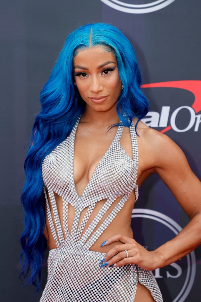 Fans de la lucha libre comentaron que en realidad la réplica de 'La diva del Bronx' tiene un mayor parecido a Sasha Banks, superestrella de la WWE quien es prima de Snoop Dogg.