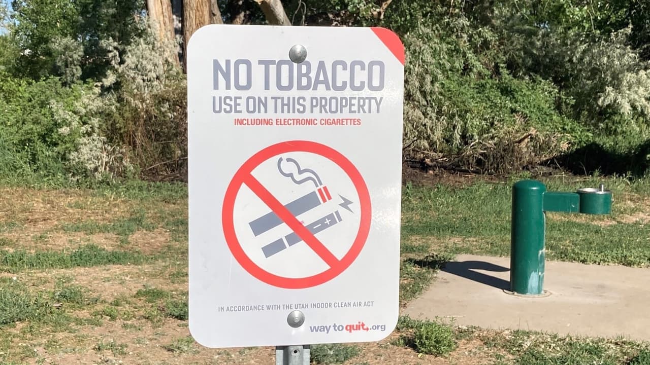 Sospechan que incendios forestales en Riverdale pueden haber sido intencionales