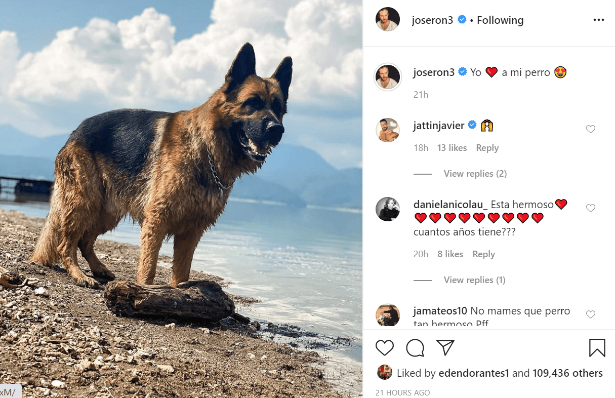 La foto más reciente publicada por José Ron ocurrió la mañana del lunes 22 de junio y fue 
<b><a href="https://www.instagram.com/p/CBv1pG1J1xM/" target="_blank">esta imagen</a></b> de su perro. 
<br>