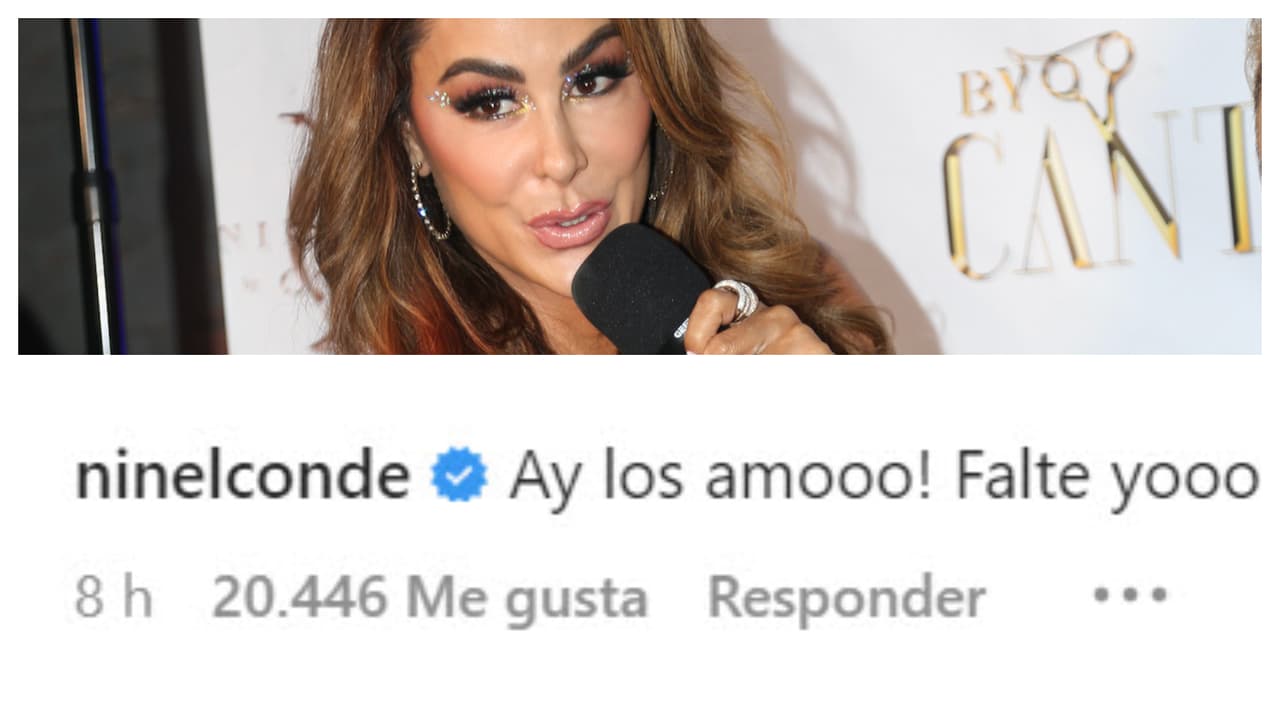 Ninel Conde también alzó la mano:
<b>"Falté yo",</b> dijo la artista, quien en la telenovela interpretó a Alma Rey.