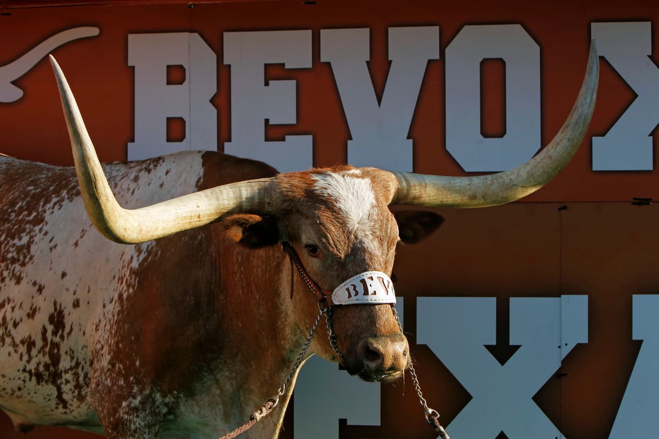Fallece Bevo XIV, la mascota de la Universidad de Texas