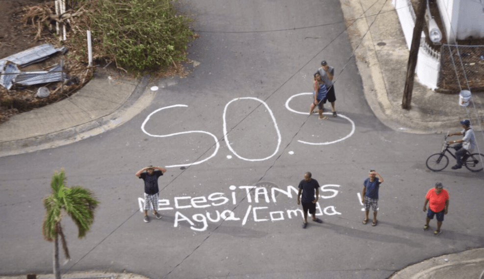 ¿Qué hay detrás de la foto de auxilio viral de Puerto Rico? Científicos y monos macacos