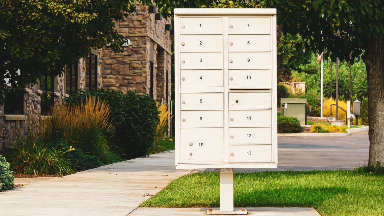 <h3 class="cms-H3-H3">📅 Fechas recomendadas para enviar antes de Navidad</h3> 
<b>En Estados Unidos: </b>
<br>USPS Ground Advantage o First-Class (paquetes): hasta el 17 de diciembre 
<br>Priority Mail: hasta el 18 de diciembre 
<br>Priority Mail Express: hasta el 20 de diciembre 
<br>
<b>En Alaska, Hawái, Puerto Rico y territorios: </b>
<br>Ground Advantage: hasta el 16 de diciembre 
<br>
<b>Para envíos internacionales o militares</b>, USPS publicará las fechas límite específicas por país a inicios de noviembre.