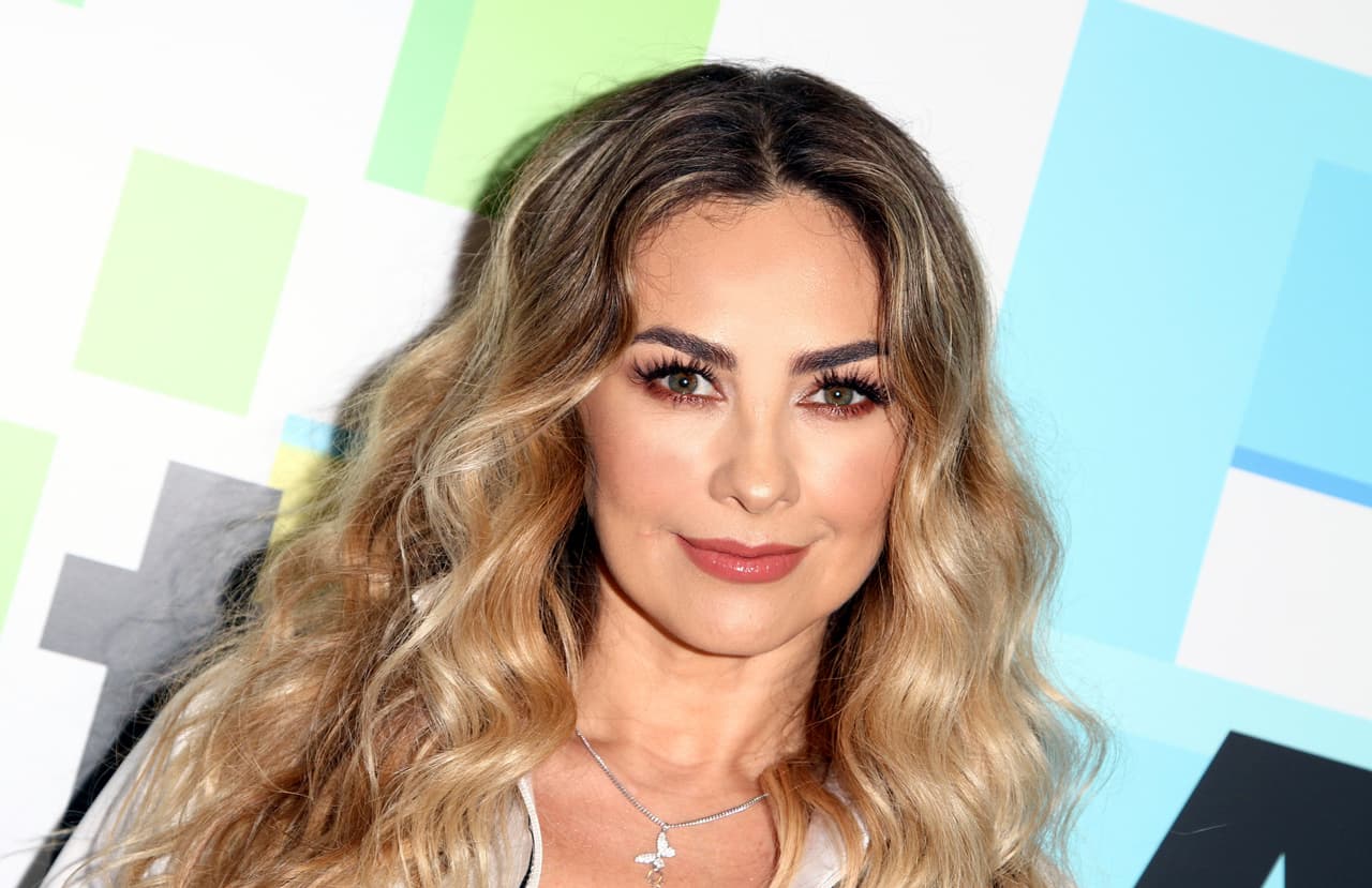 Posteriormente, Arámbula fue abordada por los reporteros en el aeropuerto de Monterrey, México, en donde se le pidió su opinión acerca del calificativo que recibió por parte de la 
<b><a href="https://www.univision.com/famosos/sylvia-pasquel-se-deprimio-porque-la-familia-pinal-se-convirtio-en-un-burdel-tras-los-ataques-de-frida-sofia-fotos" target="_blank">hija de Sylvia Pasquel. </a></b>
<br>