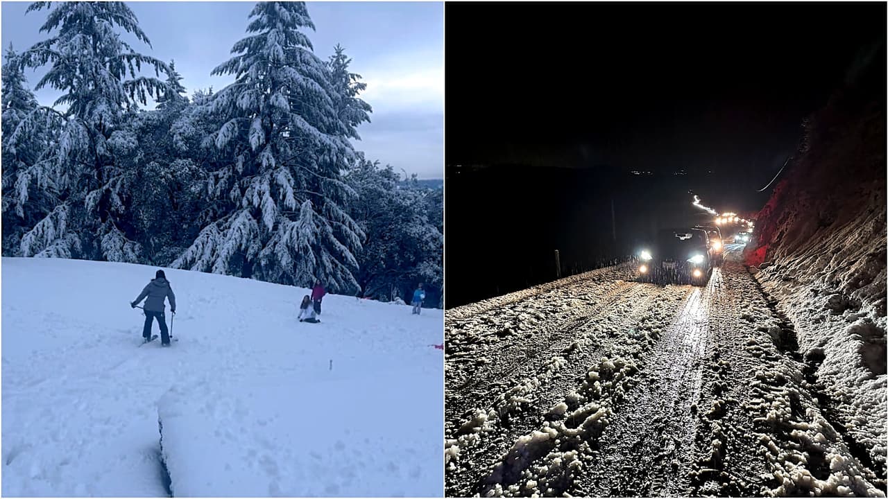 Asombro, diversión y caos vial dejan las históricas nevadas en el Área de la Bahía
