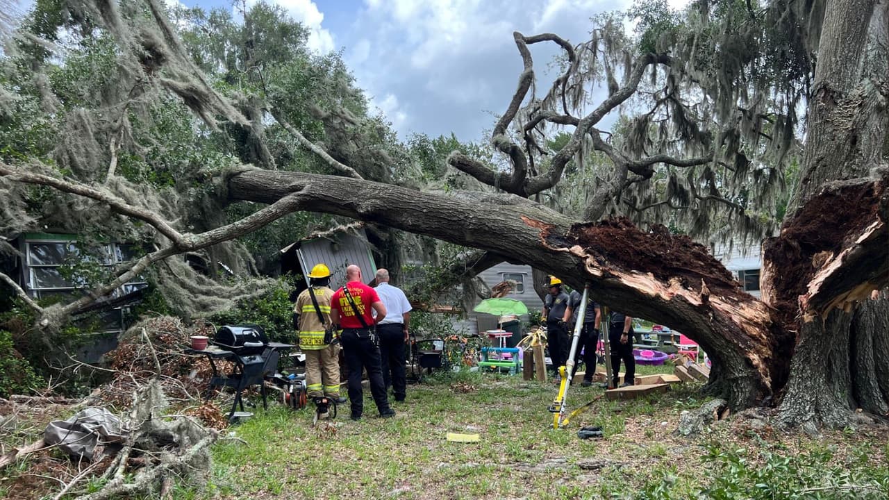 Árbol causa la muerte de una mujer de Weeki Wachee