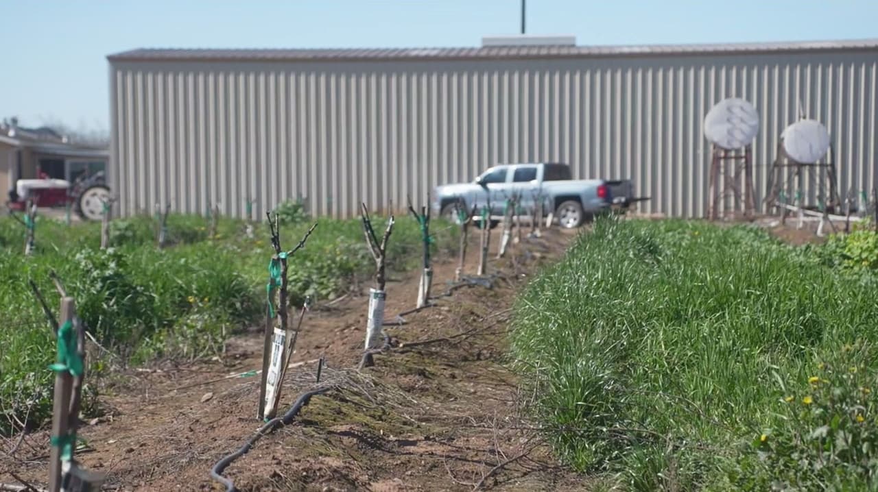 Agricultores enfrentan pérdidas tras cierre de planta Del Monte en el norte de California