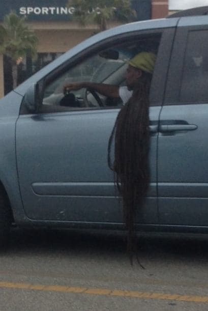 Cosas insólitas que solo se ven en Florida.