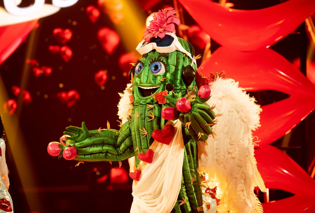 Por su carisma y desempeño en el escenario, los investigadores estaban seguros de que la identidad de Cactus estaba entre Chumel Torres, Werevertumorro, Slobotzky o Salvador Zerboni.
<br>