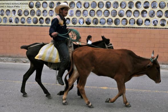 La Comisión de Esclarecimiento Histórico (CEH) declaró que Rabinal fue una de las comunidades del departamento norteño de Baja Verapaz más golpeadas por la guerra.