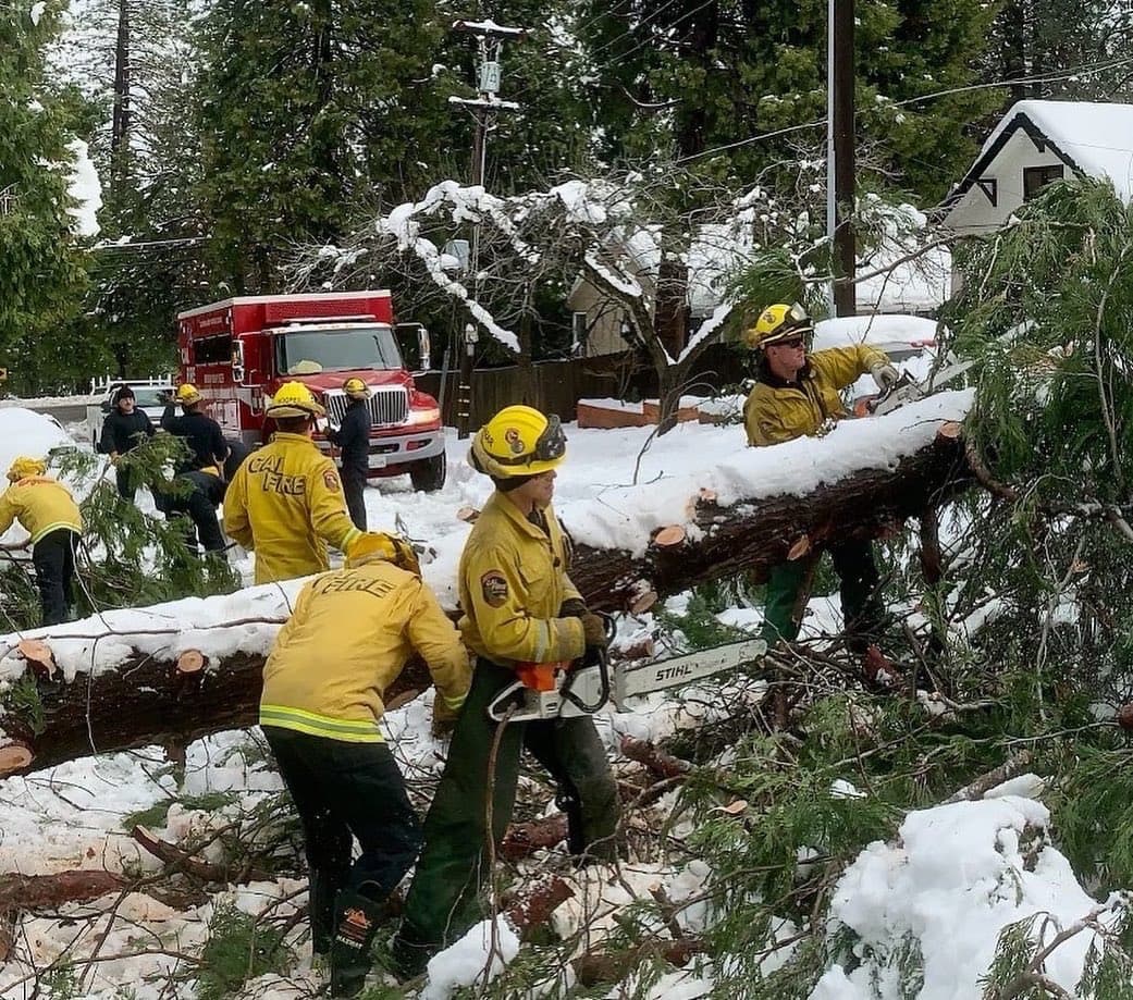 Bomberos de CalFire estuvieron trabajando durante la jornada para remover árboles que había caído y bloqueado las calles.