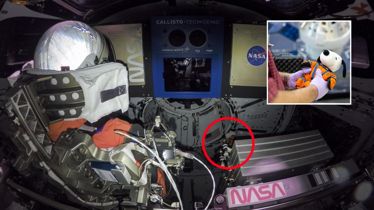 Este muñeco de Snoopy le de dio la vuelta a la Luna en la misión Artemis I