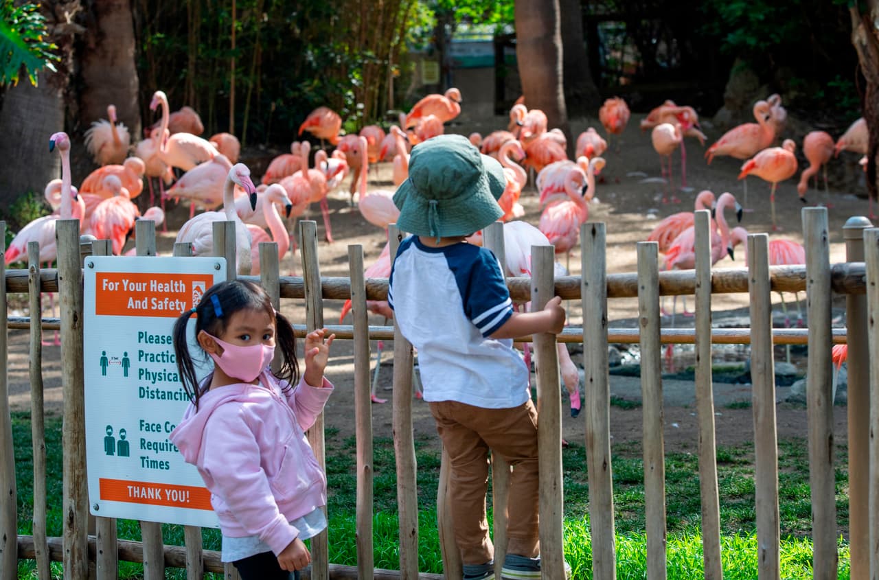 <b>Los museos, zoológicos y acuarios</b> pueden abrir en interiores al 25% de su capacidad.