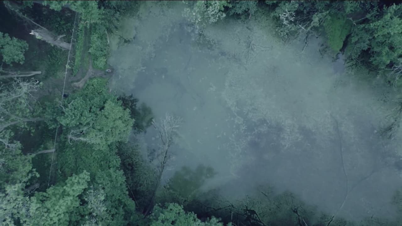 Este es un pequeño lago dentro del cementerio en donde Al Capone echaba los cuerpos de sus víctimas.