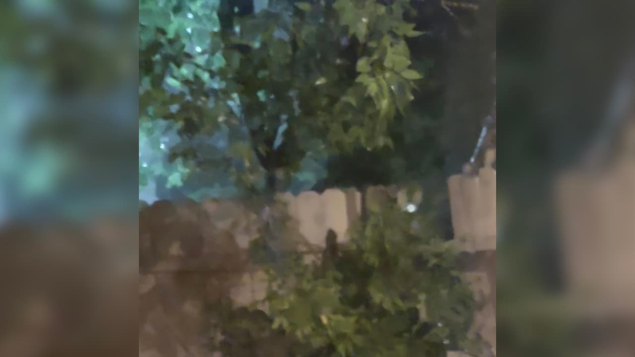 Esta imagen nos la compartió Rossana Pérez del área de afuera de casa mientras pasaba el huracán Nicholas.