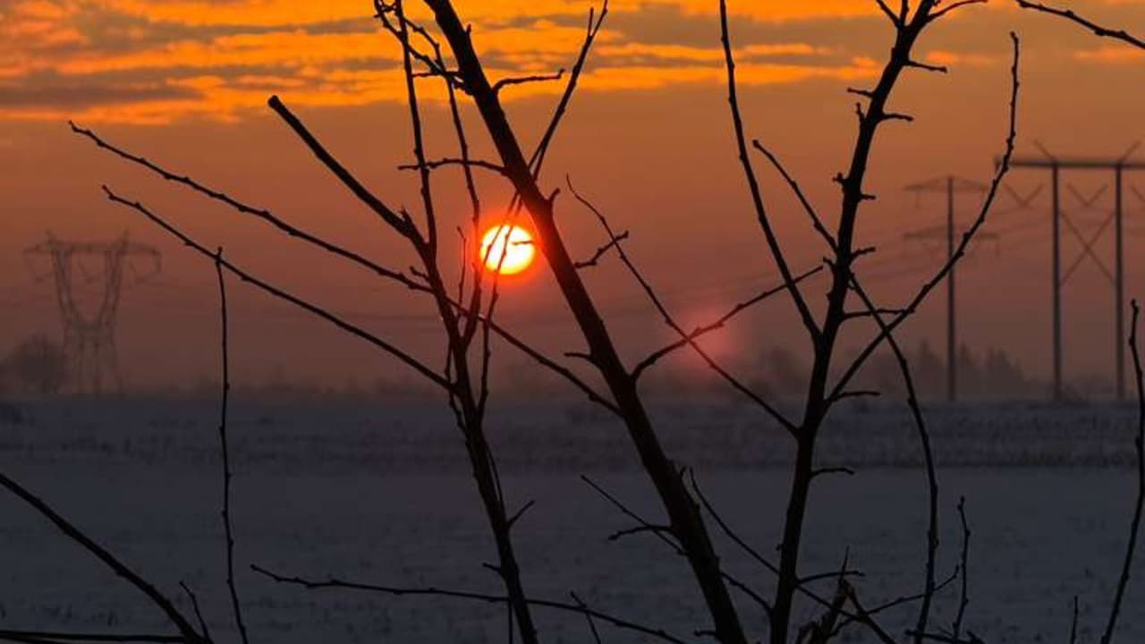 El día en que miles de fieles entonan las mañanitas a la 'Morenita', cada vez está más cerca. La Virgen de Guadalupe, como cariñosamente la llaman sus devotos, volverá a reunir a la comunidad en el 
<b><a href="https://www.univision.com/local/chicago-wgbo/mananitas-virgen-guadalupe-2025-cerrito-tepeyac-des-plaines-illinois" target="_blank">Santuario de Nuestra Señora de Guadalupe en Des Plaines</a></b>, el 11 y 12 de diciembre.
<br>