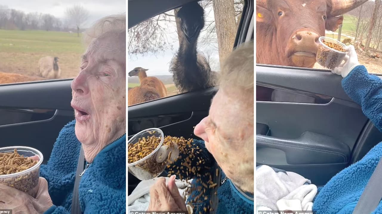 La abuelita no podía parar de temblar