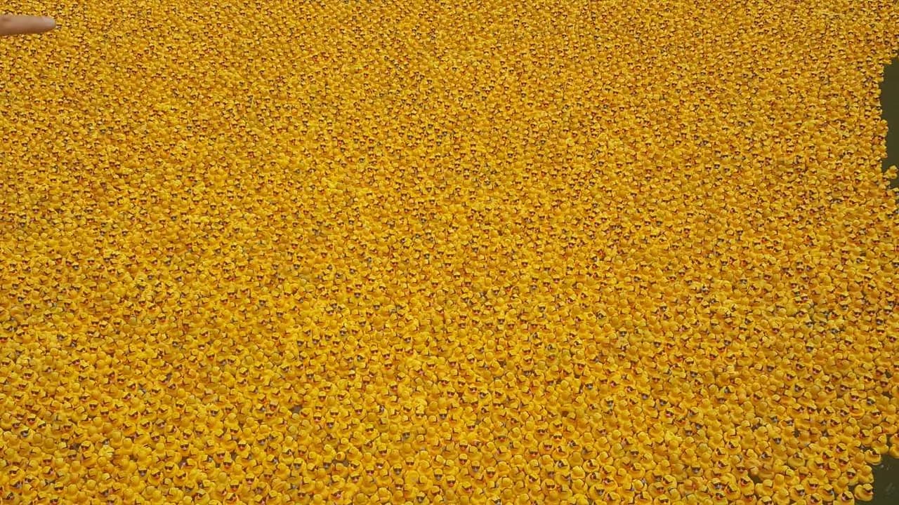 Además de donar fondos, los participantes pueden ganar premios como viajes a Las Vegas, boletos para Nascar e incluso un auto.