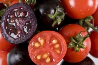 Estudios indican que los tomates morados con altos niveles de antocianinas contribuyen a disminuir el riesgo de enfermedades cardiovasculares.