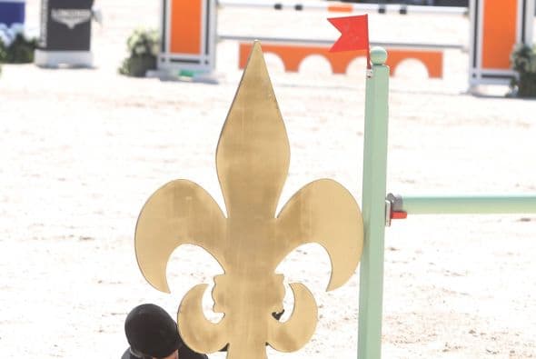 El caballo sobre el que practicaba no logró saltar debidamente.