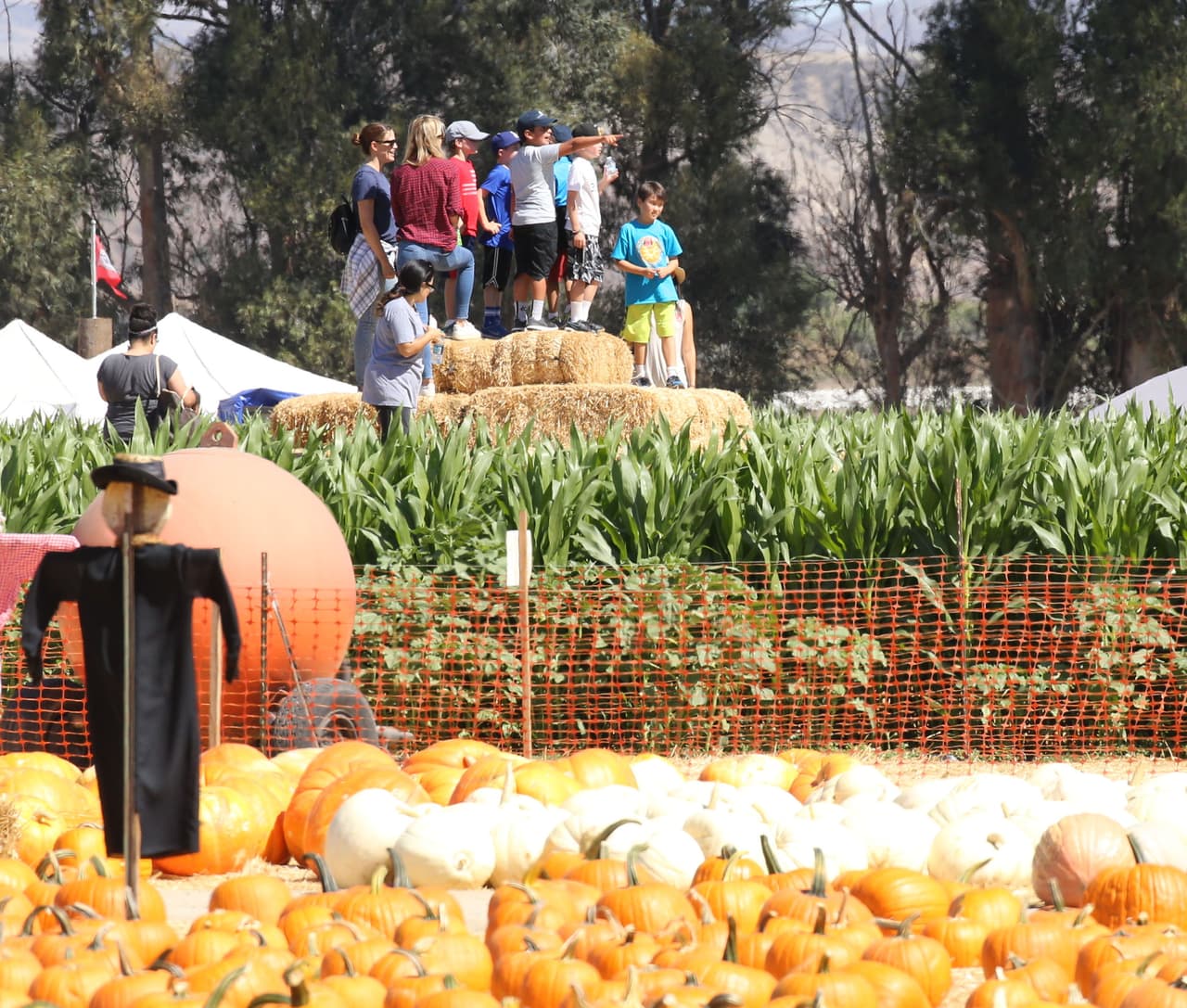Con los chicos viendo algo a lo lejos.