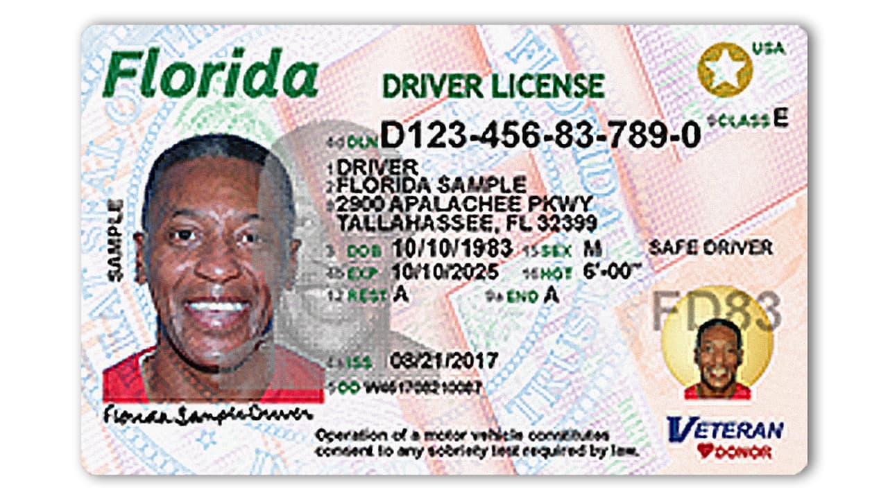 Así serán las nuevas licencias de manejar en Florida