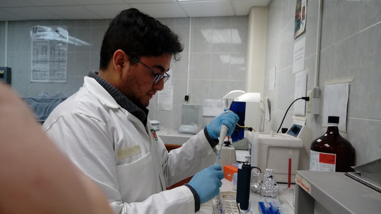 <b>Una rosa contra el cáncer cervical. </b>Científicos de la Universidad Autónoma de Coahuila investigaron las propiedades de la rosa de Castilla, una planta que crece en el semidesierto de ese estado mexicano y los hallazgos fueron reveladores. Comprobaron su potencial antioxidante y antiproliferativo en células de
<a href="https://www.univision.com/noticias/salud/un-microcredito-salvo-la-vida-de-esta-indigena-guatemalteca-diagnosticada-con-cancer-cervical-video"> cáncer cervicouterino</a>, es decir, 
<a href="https://www.univision.com/temas/cancer">puede prevenir esta enfermedad</a>. También tiene alto contenido de polifenólicos y otros compuestos de interés para el sector industrial, farmacéutico y alimentario.