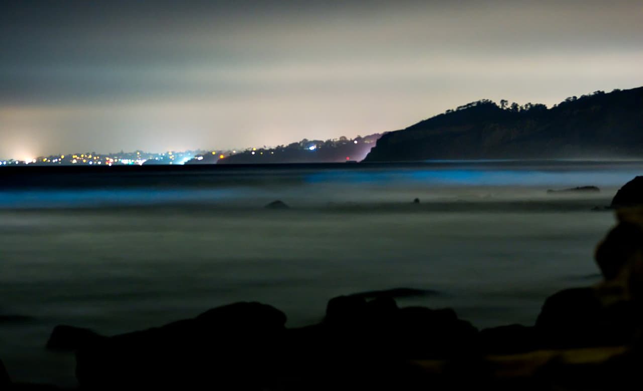 "¡Ondas bioluminiscentes! Anoche fue todo un espectáculo de luces en San Diego", see lee en el post de Twitter donde fue colocada esta fotografía el 9 de mayo.