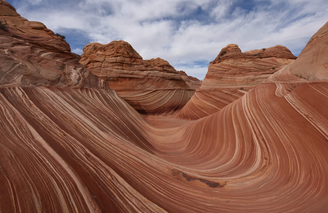 Además de las famosas olas, puedes recorrer otros lugares increíbles como The Boneyard, donde encontrarás huellas de dinosaurio, así como Sand Cove o The Second Wave.