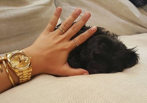 ¿Y ese pequeño cachorro de quién es? ¡De Demi Lovato! Tras la trágica muerte de su perrito, alguien le regaló a la cantante a este pequeño, a quien llamó 'Batman'.