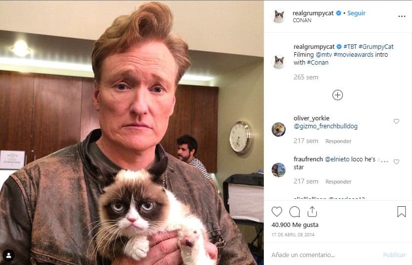 <b><a href="https://www.instagram.com/p/m6GLPvk1C2/">Conan O'Brien</a></b> tampoco se negó a tomarse una foto con la gatita.