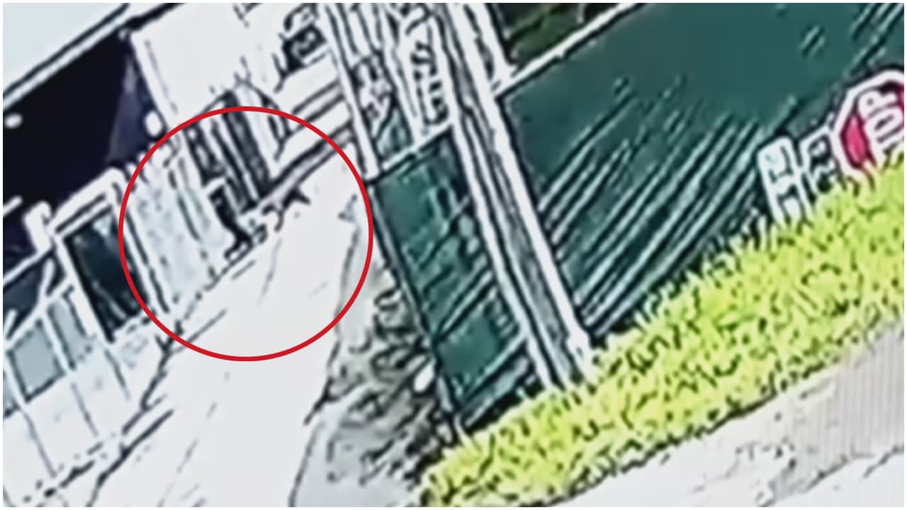 Captan en cámara ataque de perros pitbull a una mujer de 63 años en Homestead