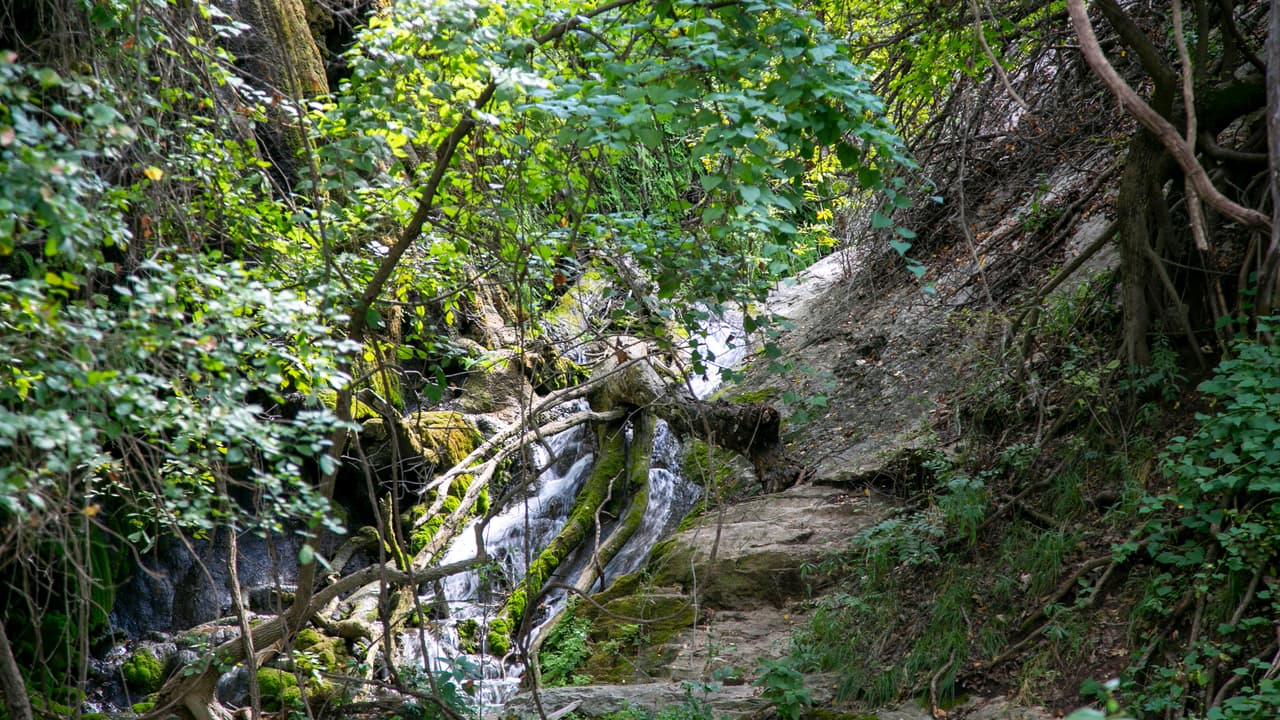 El lugar tiene 35 millas de senderos para caminar y andar en bicicleta.